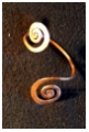 Copper Bracelet